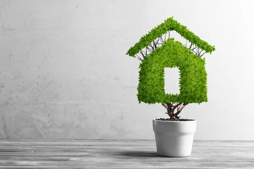 8 Easy ways to make your home eco-friendly