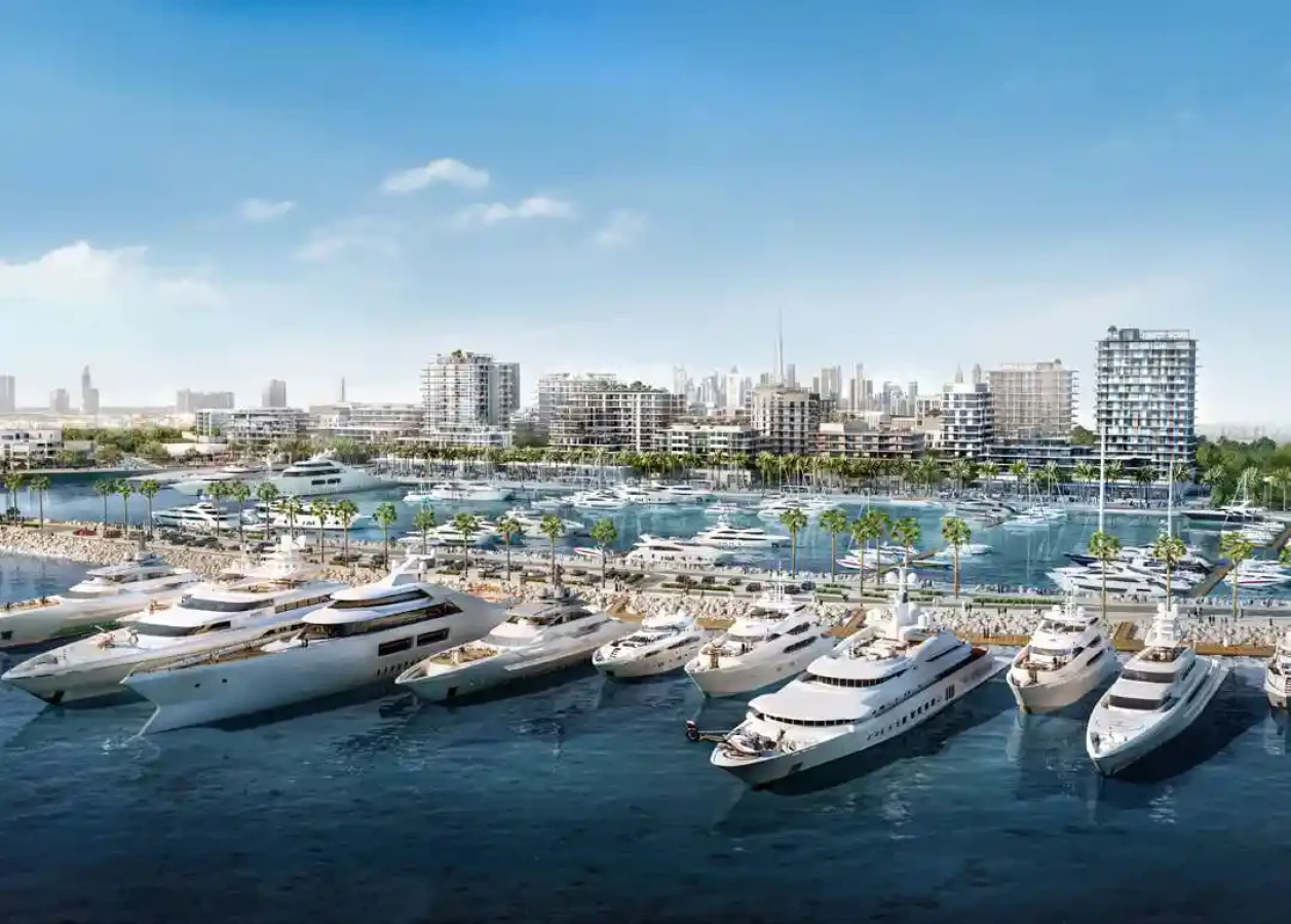 Aurea at Mina Rashid